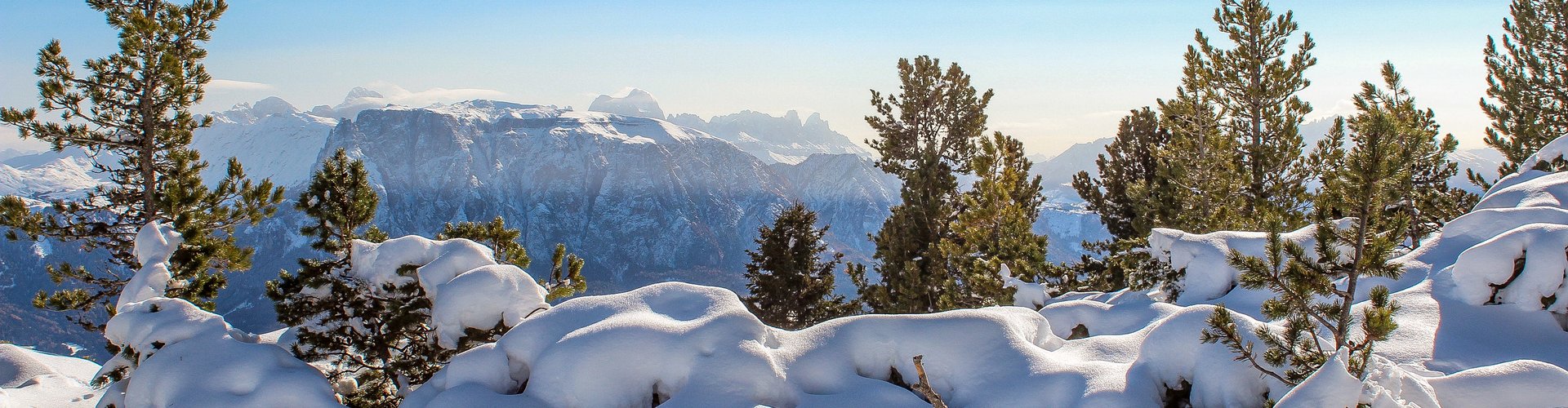 © 2025 ZIRM KG - des Lang Lorenz