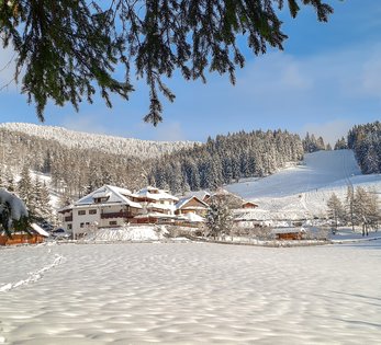 ZIRM KG - des Lang Lorenz