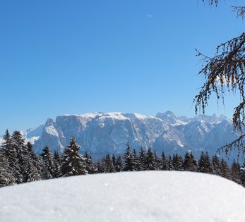 ZIRM KG - des Lang Lorenz