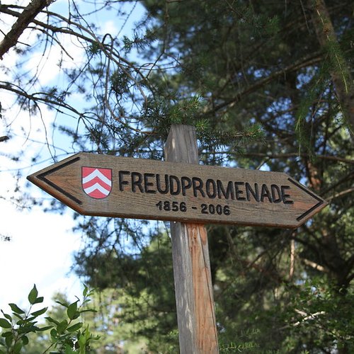 © ZIRM KG - des Lang Lorenz