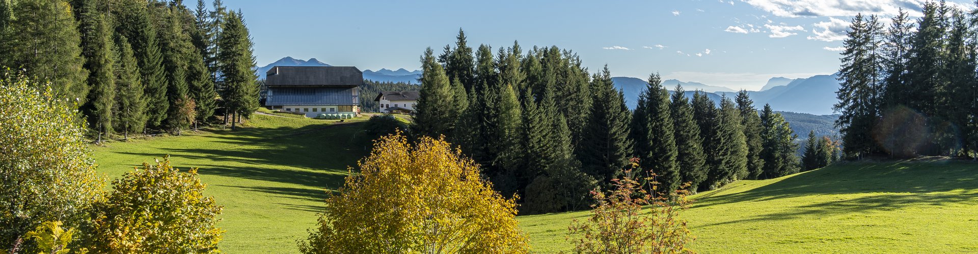 Relaxation at Berghotel zum Zirm – Peace and nature on the Renon Sunny Plateau in South Tyrol