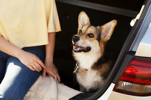 Urlaub mit Hund in Südtirol